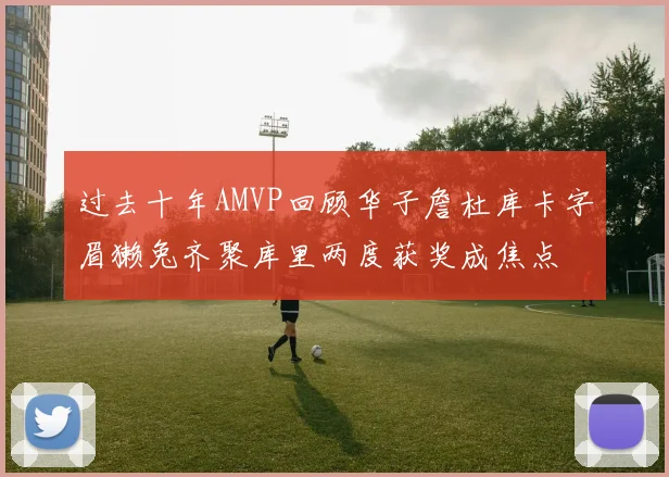 过去十年AMVP回顾华子詹杜库卡字眉獭兔齐聚库里两度获奖成焦点
