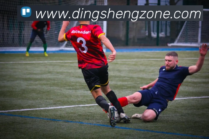 鼎盛棋牌平台生态图